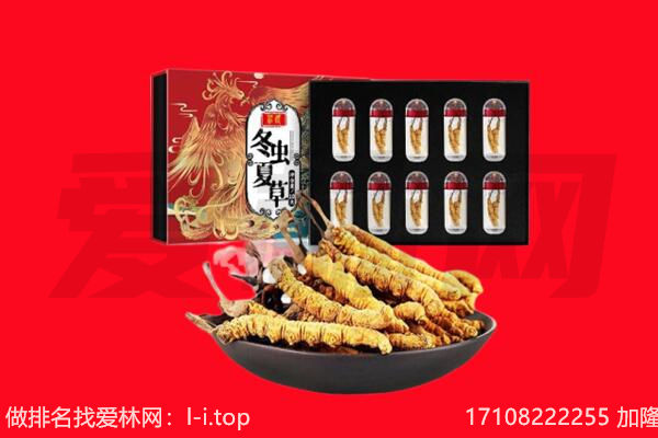 柳州三江县回收虫草.jpg